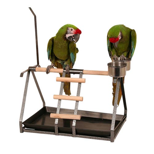 Parrot Playstand Bird oyun meydançası